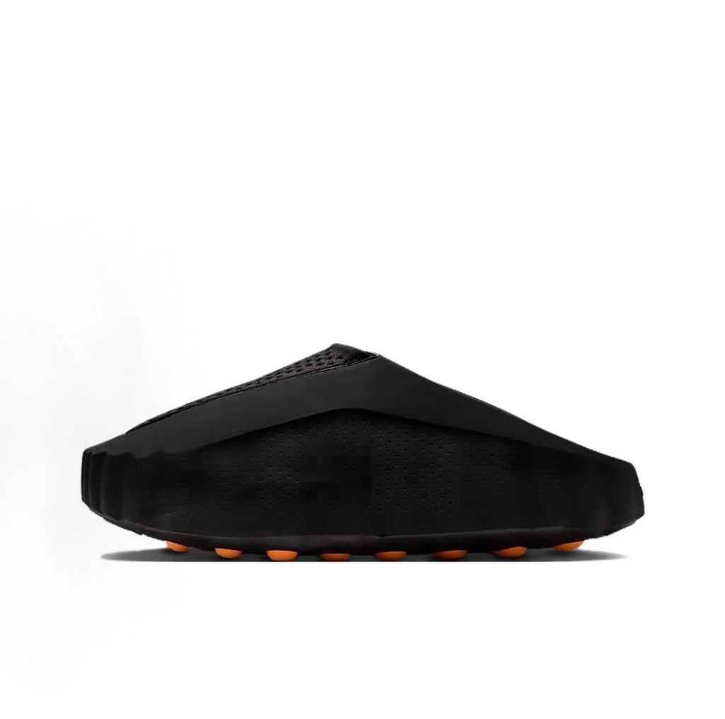 Coast Slides