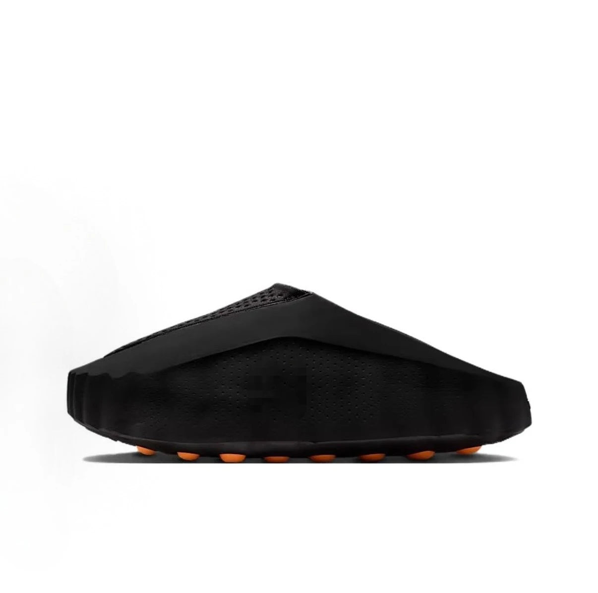Coast Slides