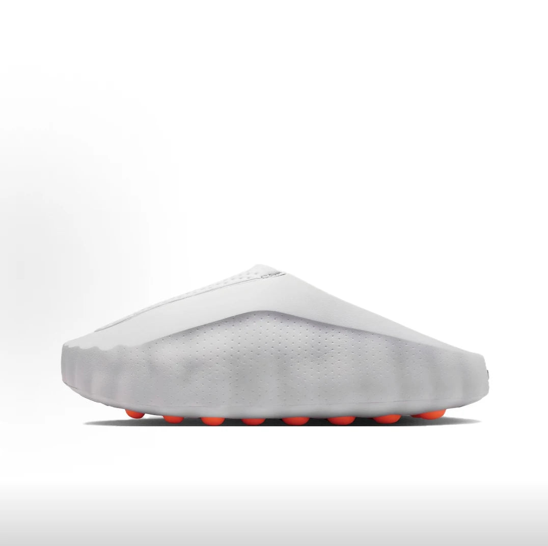 Coast Slides