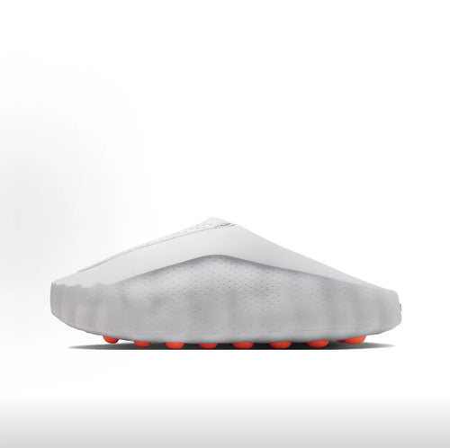 Coast Slides
