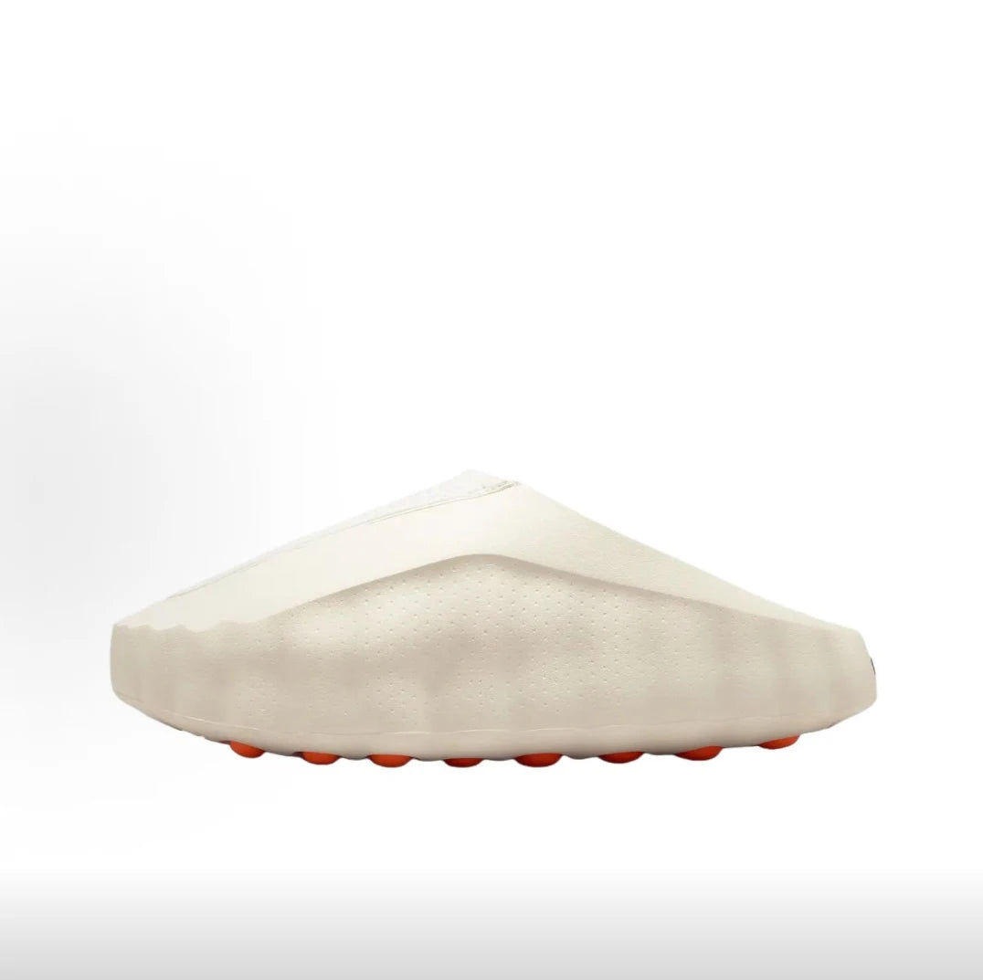 Coast Slides