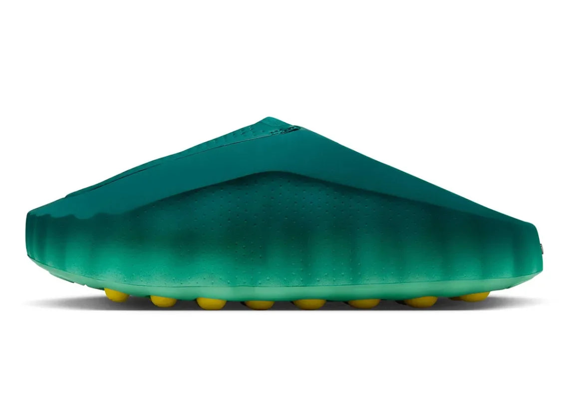 Coast Slides